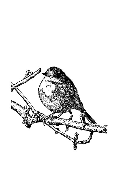redbreast